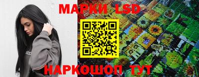 ПСИЛОЦИБИНОВЫЕ ГРИБЫ Камышлов